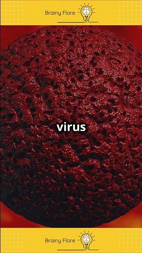 How Do Viruses Infect Cells