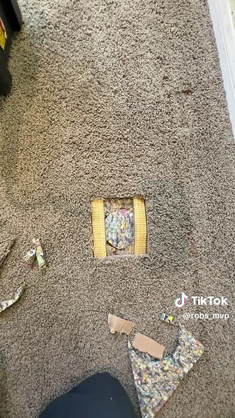 Expert Carpet Repairs and Patching Services