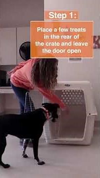 Crate Training a Dog | How to Train Your Dog in 60 Seconds
