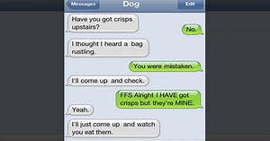 The 35 funniest text messages dogs would send, if they could text