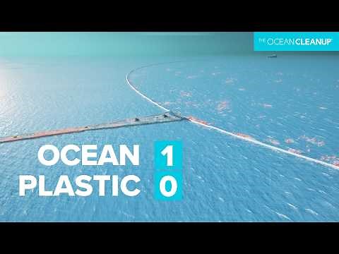 Here's how we rid the world’s oceans of plastic