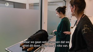 Evi staat dit keer oog in oog met een echte hond, maar wel eentje die onder narcose is. Je volgt haar emotionele parcours elke maandag in #Iedereenberoemd. | VRT 1