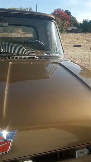 Cool 1966 Ford f100 4x4