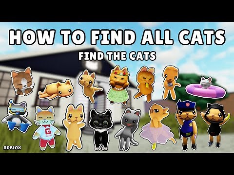Find The Cats 😺 How To Find All Cats (All Levels) 😺 Roblox
