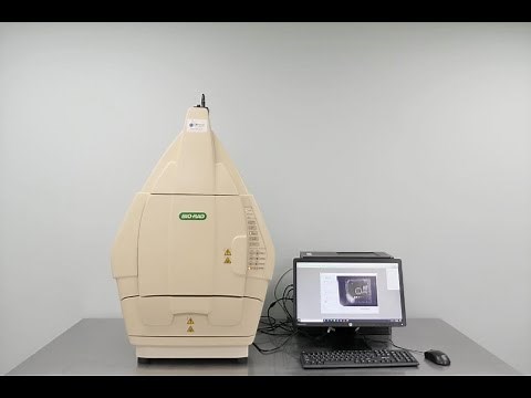 BioRad Gel Doc XR Imaging System ID 14810