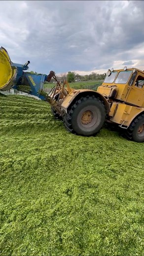 271K views · 1.8K reactions | preparation of fodder for winter #winter #food #feed #animals #farm #cows #farming #milk #machine #tractor #hoover #technology | Your farm | Facebook