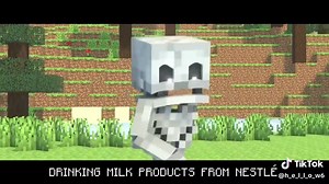 Skeleton Rap - Minecraft Song