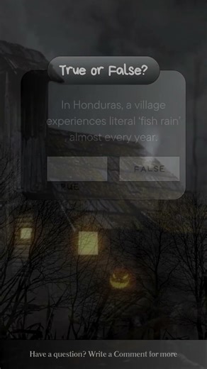 It Rains FISH Here… TRUE or False🤔
