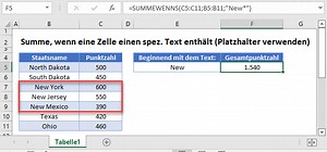 Summe, wenn eine Zelle einen spez. Text enthält (Platzhalter verwenden) - Excel & GS