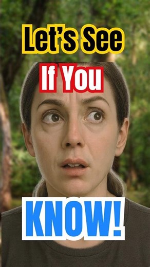 American Money Trivia – Can You Stay Perfect? #usatrivia #moneyquiz #beperfect