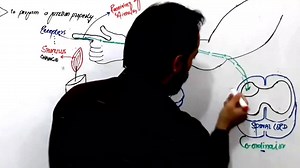 1.7K views · 22 reactions | To Watch complete lectures visit my channel https://youtube.com/channel/UCNUDKKQLDoyGPSGg-_H3DfQ | Up Teaching Academy | Facebook