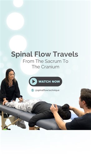 Spinal Flow travels all the way from the Sacrum to the Cranium. Our Spinal Flow Practitioners learn to see this, expand this energy and help it move all the way up and down the spine in a wave like motion so healing can happen. ✨✨✨✨✨✨✨✨✨ Click the link in our bio to: 💫 Learn how to become a Practitioner ✨ Find a Spinal Flow Practitioner near you #SpinalFlow #SpinalFlowTechnique #TheHealersJourney #AwakenYourSpinalFlow #DrCarliAxford #SpinalFlowCertification #7GatewaysOfTheSpine | Spinal Flow Te