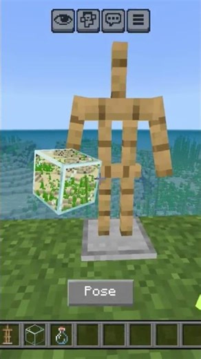 minecraft x-ray GLITCH @YesSmartyPie