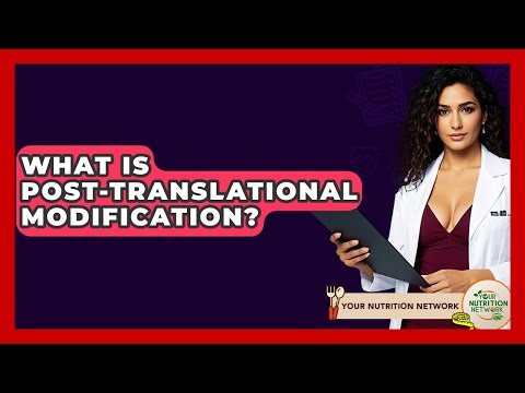 What Is Post-Translational Modification? - Your Nutrition Network