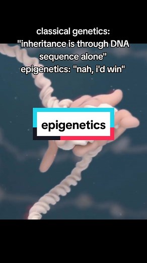 Understanding Epigenetics and Its Impact on Inheritance | Genetics Explained