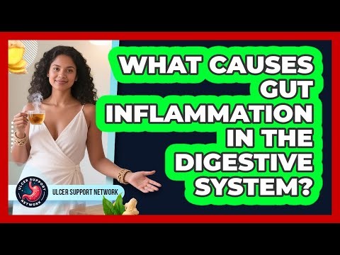 What Causes Gut Inflammation in the Digestive System?