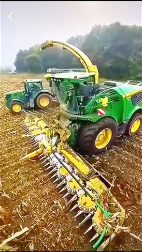 Modern Harvester Machine Cutting Fresh Cattle Feed | Fodder Harvesting Process #foddergrass