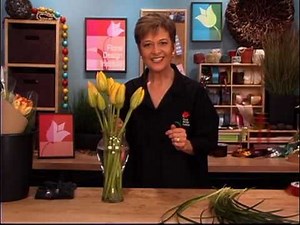 Everything You Need to Know about Growing Tulips for Beautiful Blooms