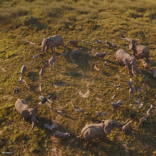 7.6K views · 165 reactions | Don't miss the incredible new soundtrack for Mufasa: The Lion King. Listen now: https://open.spotify.com/album/6J3qzhviHgjLxhL8Bk5CRy #Mufasa: The Lion King is coming home to digital on February 18. Own it on Blu-ray April 1. | Walt Disney Records | Facebook