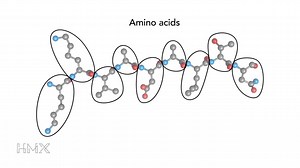 84K views · 81 reactions | The principles of biochemistry are more applicable than you may realize. Learn how in HMX Biochemistry. | HMX - Harvard Medical School | Facebook