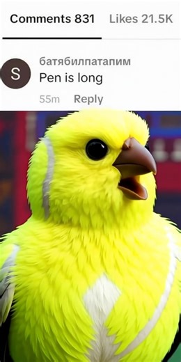 pen is long #bradar #brainrot #PixVerse #pixverseai #tennisbird | brainrot