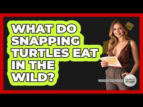 What Do Snapping Turtles Eat In The Wild?