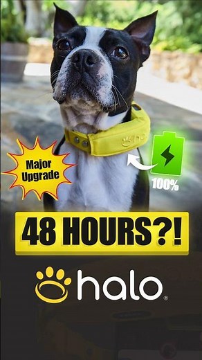 Halo Collar 5: 48-Hour Battery Life & AlwaysOn Tracking — The Smart Dog Collar That Never Sleeps