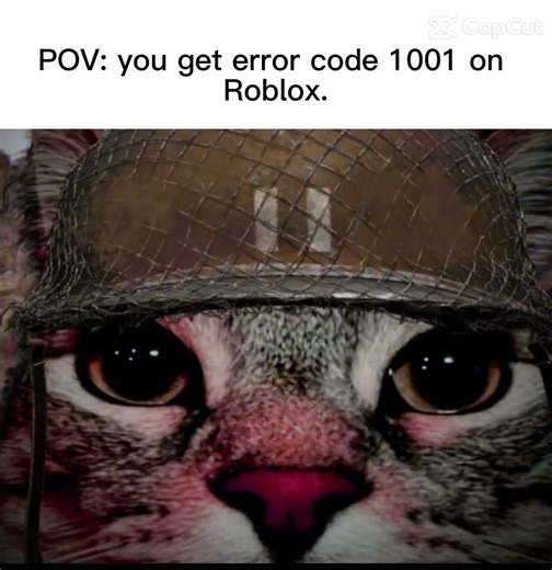 POV: you get error code 1001 on Roblox.
