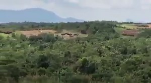 11K views · 266 reactions | On 8 Mac 2018 the Malaysian Army has conducted Ingwe missile test fire at Asahan Firing Range onboard the AV8 Gempita.Other vehicles tested were AV8 variant with 25mm and 30mm cannon ,12.7mm RCWS and recce and surveliance variant with Squire radar and Vintaq ii electro optic. | Military Leak | Facebook