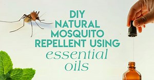 DIY Natural Mosquito Repellent Using Essential Oils