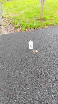 How Does Porous Pavement Work?