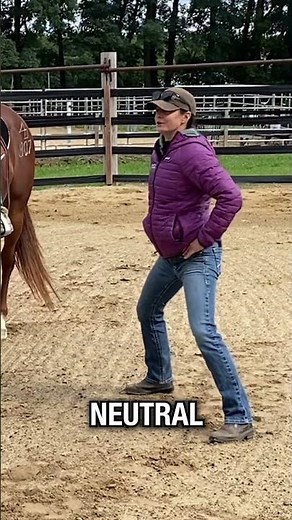 Do you have good biomechanics in the trot?