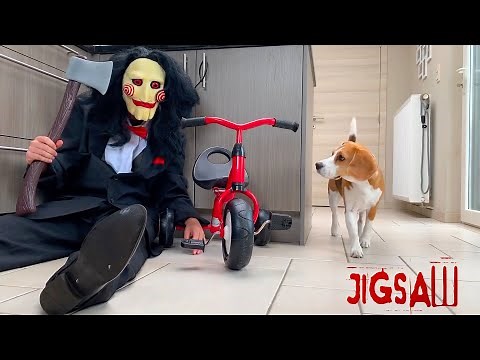 Funny Dogs vs Scary Jigsaw Prank Compilation