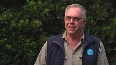 Australian science agency warns farmers to stay alert for increase in mice