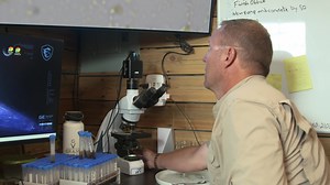 🌱 NEW FOR 2024 – SPECIAL OFFER 🌱 SOIL FOOD WEB ESSENTIALS - Just $199! Immerse yourself in the essential science of soil ecology and biology. This accessible and impactful course is a must for anyone keen on understanding and stewarding resilient ecosystems. Ideal for environmental enthusiasts, gardeners and future ecologists. WHAT'S INCLUDED: 🌿 Soil Food Web Essentials (Brand New for 2024!) 🌱 In-depth exploration of soil ecology with Dr. Elaine Ingham and expert educators 🌾 Practical insig