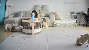 33K views · 1.8K reactions | เหตุการณ์มันเกิดขึ้นเร็วมาก เหมือนมีอะไรบางอย่างวิ่งวนอยู่รอบๆ ฮ่าฮ่า บู้บี้ ใช่มั้ยท๊าบ | The Monster House | Facebook