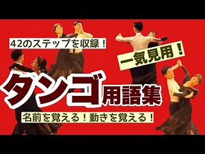 【社交ダンス】タンゴの全フィギュア 困ったときの用語集総集編