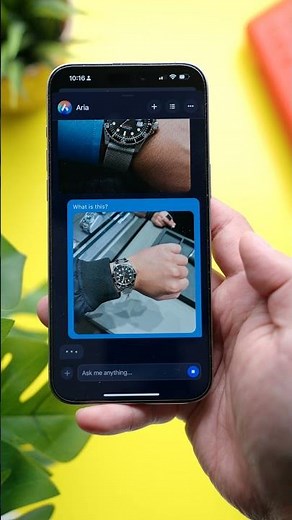 The Opera Browser is AMAZING!!