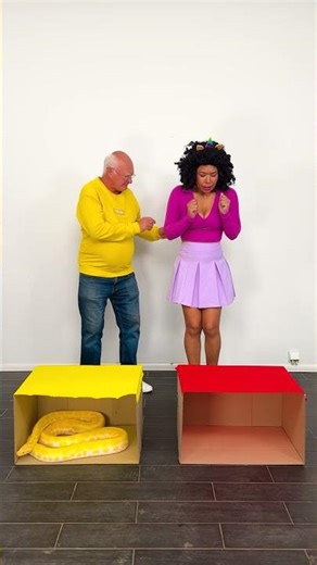 Slithering Fun: The Ultimate Snake Challenge!