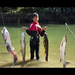 30K views · 706 reactions | Mastering Stream Fishing Bac’s unique techniques for catching large fish with traditional tools #camping #survival #bushcraft #outdoors #lifehacks | Daily maza | Facebook