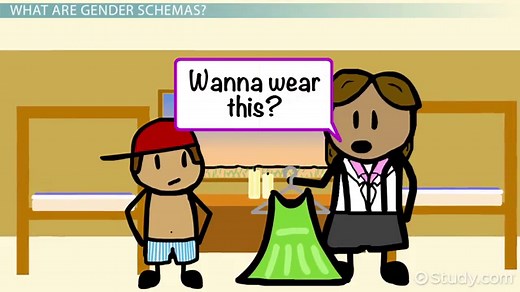 Gender Schema | Theory, Constancy & Examples