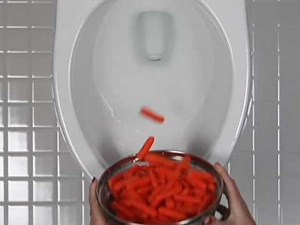 Danze Toilet Video