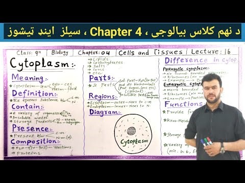 Cytoplasm class 9 Biology chapter 4 Cells and Tissues in Pashto | Sabar Khan Lectures
