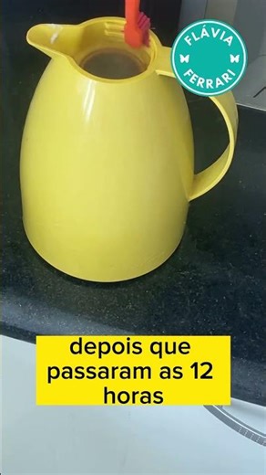 HOW TO CLEAN THE INSIDE OF A THERMOS BOTTLE? | FLÁVIA FERRARI #shorts
