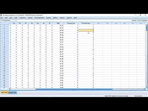 SPSS - Identifying Duplicates