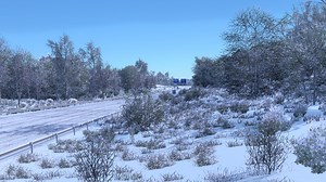 Frosty Winter v10.3 (ETS2 1.56)