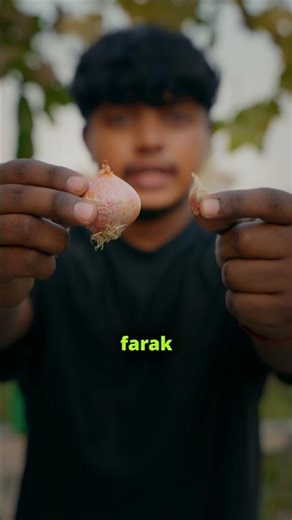 I grew onion that even jains can eat #walkingonion