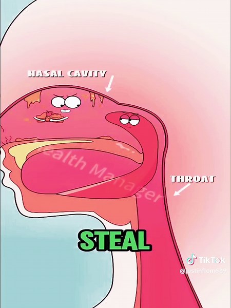 Engaging Science Learning Through Fun Animations