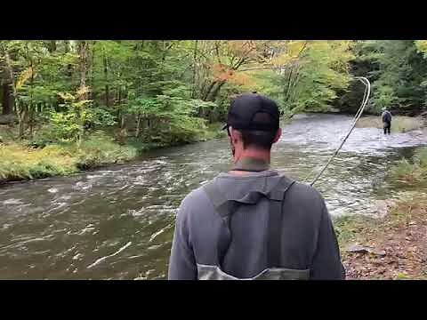 Fly Fishing Zone The Salmon River NY 2022