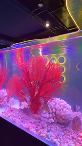 5.4K views |  퐊퐡퐢 퐝퐚̣퐢 퐝퐮̛퐨̛퐧퐠 퐭퐡퐮 퐧퐡퐨̉ 퐠퐢퐮̛̃퐚 퐥퐨̀퐧퐠 퐒퐚̀퐢 퐆퐨̀퐧…...